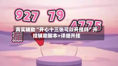 真实辅助“开心十三张可以开挂吗”开挂辅助脚本+详细开挂-第3张图片