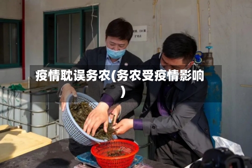 疫情耽误务农(务农受疫情影响)