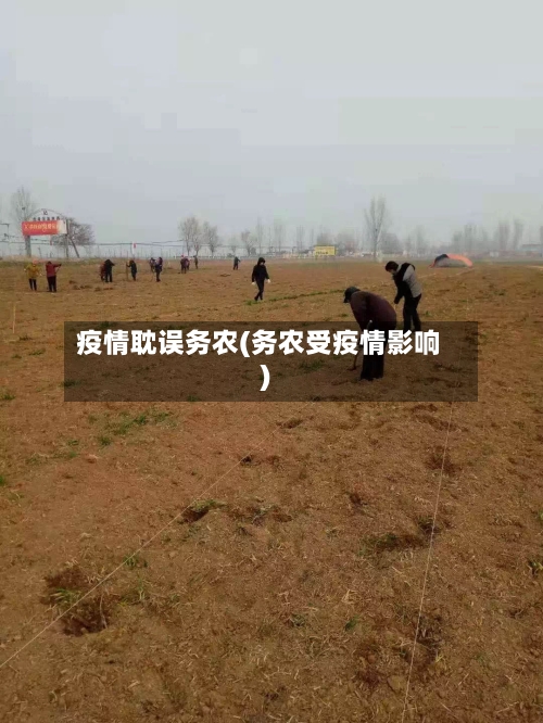 疫情耽误务农(务农受疫情影响)-第2张图片