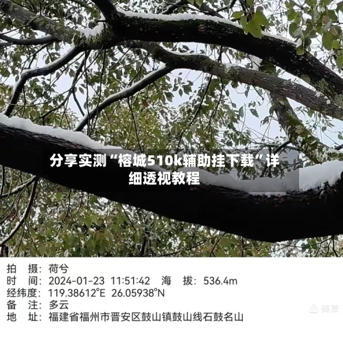 分享实测“榕城510k辅助挂下载	”详细透视教程-第1张图片