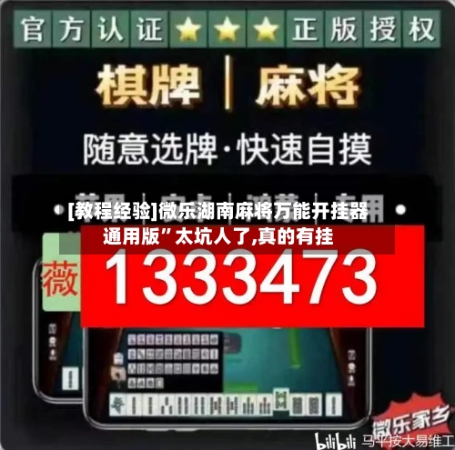 [教程经验]微乐湖南麻将万能开挂器通用版”太坑人了,真的有挂-第2张图片