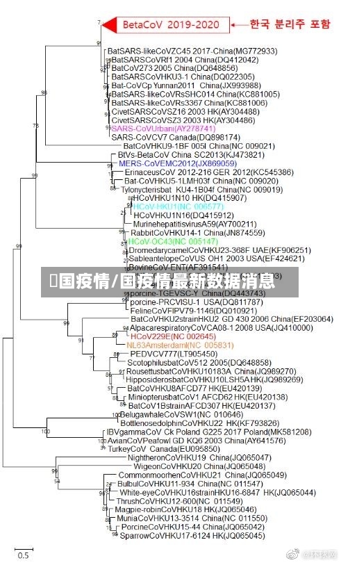 倝国疫情/国疫情最新数据消息-第3张图片