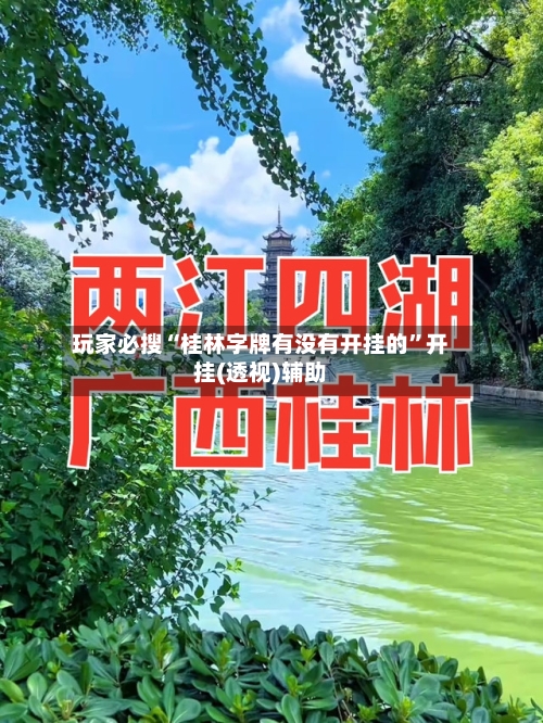 玩家必搜“桂林字牌有没有开挂的”开挂(透视)辅助-第3张图片