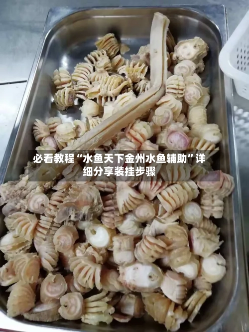 必看教程“水鱼天下金州水鱼辅助”详细分享装挂步骤-第2张图片