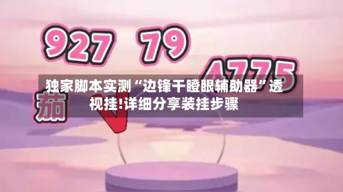 独家脚本实测“边锋干瞪眼辅助器”透视挂!详细分享装挂步骤-第2张图片