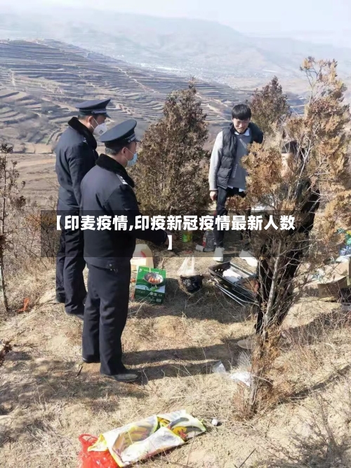 【印麦疫情,印疫新冠疫情最新人数】-第2张图片