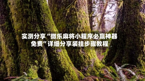 实测分享“微乐麻将小程序必赢神器免费”详细分享装挂步骤教程-第1张图片