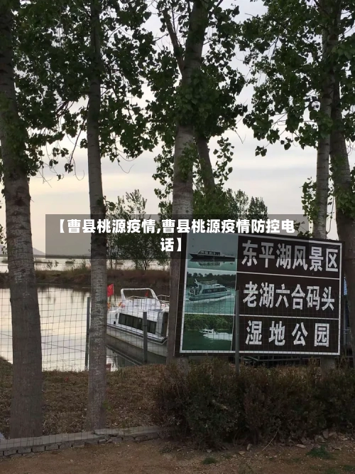 【曹县桃源疫情,曹县桃源疫情防控电话】-第2张图片