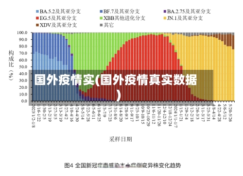 国外疫情实(国外疫情真实数据)