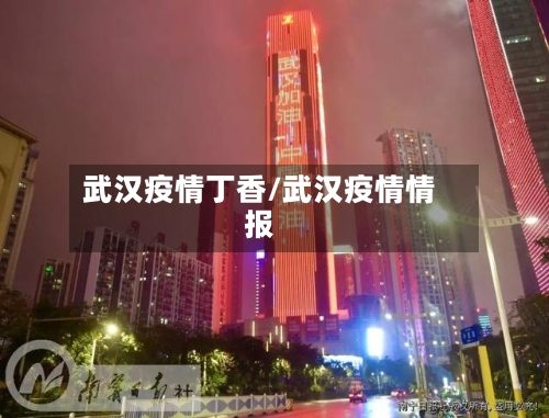 武汉疫情丁香/武汉疫情情报-第1张图片