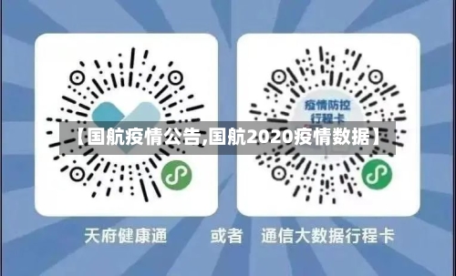 【国航疫情公告,国航2020疫情数据】-第1张图片