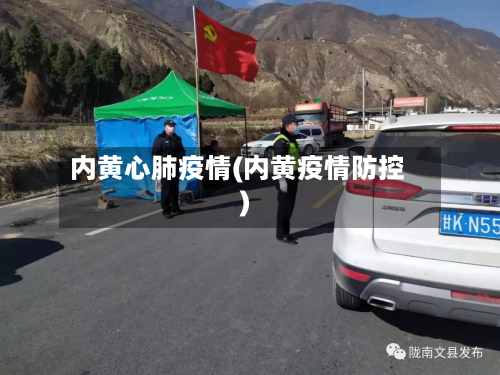 内黄心肺疫情(内黄疫情防控)-第1张图片