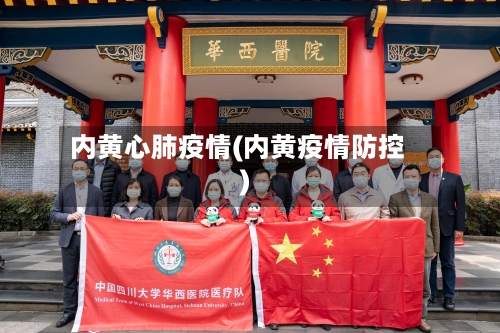 内黄心肺疫情(内黄疫情防控)-第2张图片