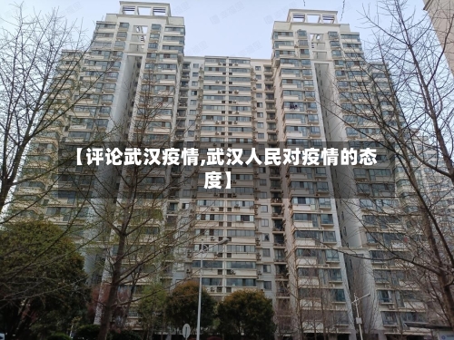 【评论武汉疫情,武汉人民对疫情的态度】-第1张图片