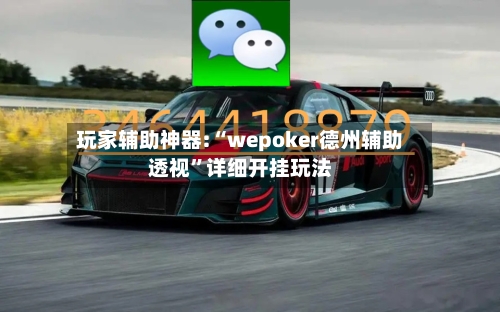 玩家辅助神器:“wepoker德州辅助透视”详细开挂玩法-第3张图片