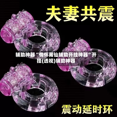 辅助神器“情怀莆仙辅助开挂神器”开挂(透视)辅助神器-第3张图片