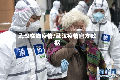 武汉在线疫情/武汉疫情官方数据