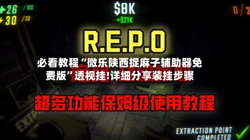 必看教程“微乐陕西捉麻子辅助器免费版”透视挂!详细分享装挂步骤-第3张图片