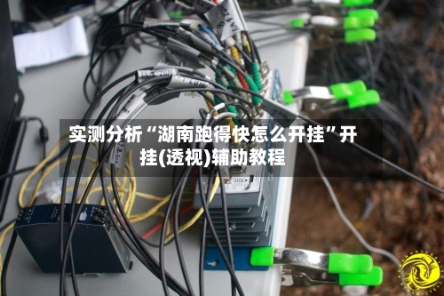 实测分析“湖南跑得快怎么开挂”开挂(透视)辅助教程-第1张图片