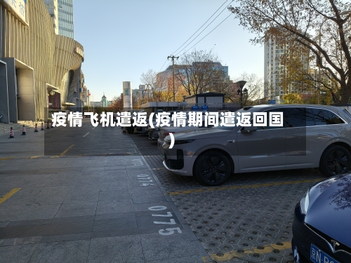 疫情飞机遣返(疫情期间遣返回国)-第3张图片