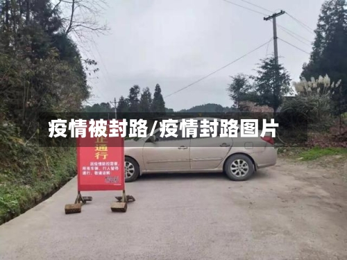 疫情被封路/疫情封路图片