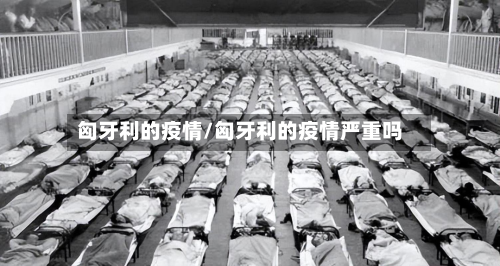 匈牙利的疫情/匈牙利的疫情严重吗