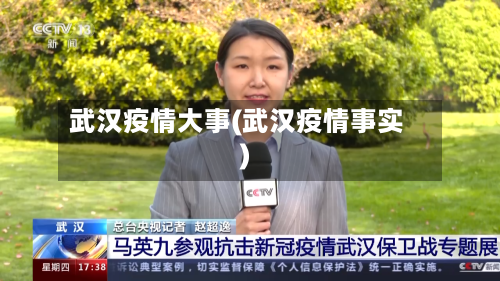 武汉疫情大事(武汉疫情事实)
