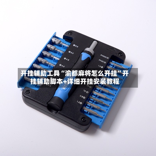 开挂辅助工具“渝都麻将怎么开挂”开挂辅助脚本+详细开挂安装教程