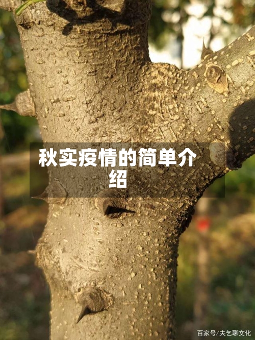 秋实疫情的简单介绍-第1张图片
