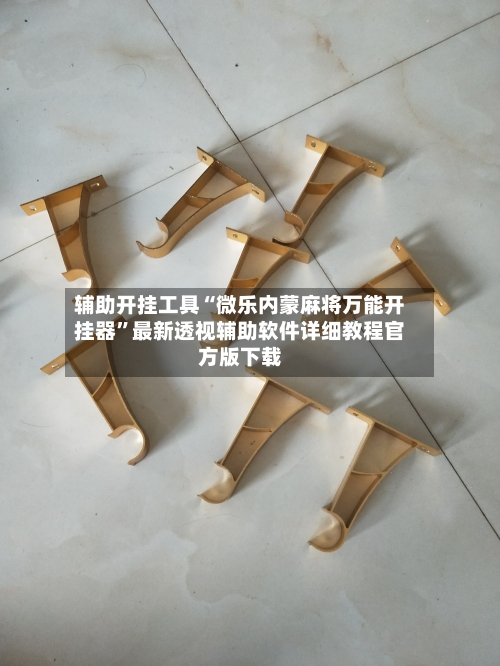 辅助开挂工具“微乐内蒙麻将万能开挂器”最新透视辅助软件详细教程官方版下载-第3张图片
