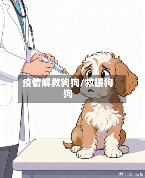 疫情解救狗狗/救援狗狗-第2张图片