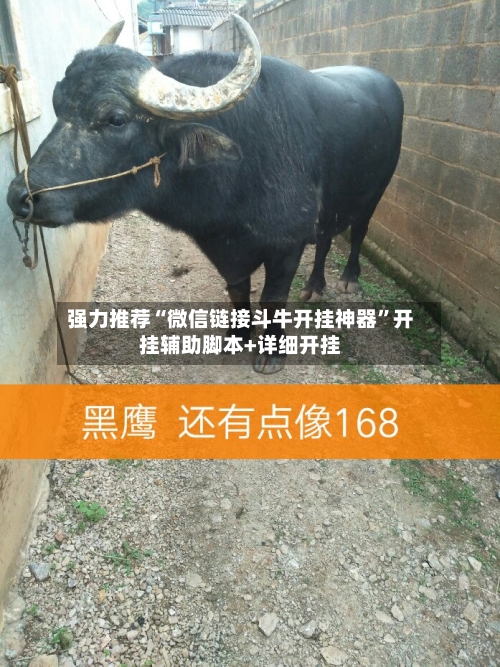 强力推荐“微信链接斗牛开挂神器”开挂辅助脚本+详细开挂