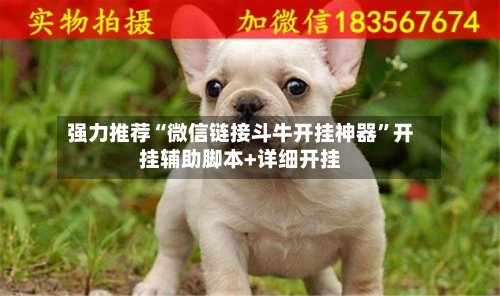 强力推荐“微信链接斗牛开挂神器”开挂辅助脚本+详细开挂-第2张图片