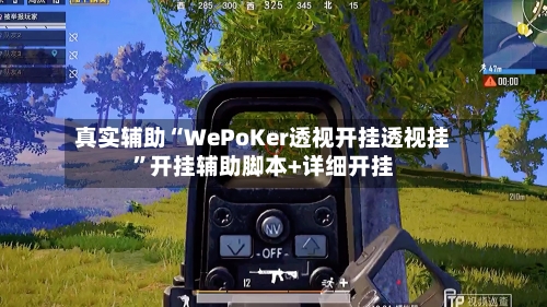 真实辅助“WePoKer透视开挂透视挂”开挂辅助脚本+详细开挂-第2张图片