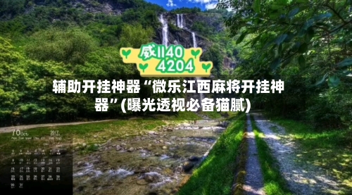 辅助开挂神器“微乐江西麻将开挂神器	”(曝光透视必备猫腻)-第2张图片