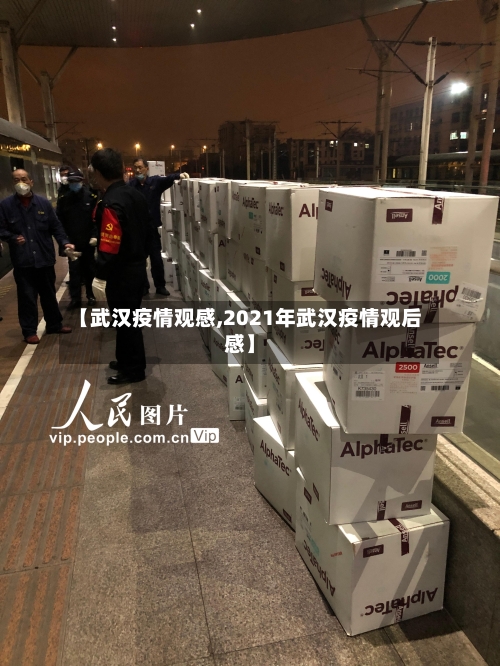 【武汉疫情观感,2021年武汉疫情观后感】-第2张图片