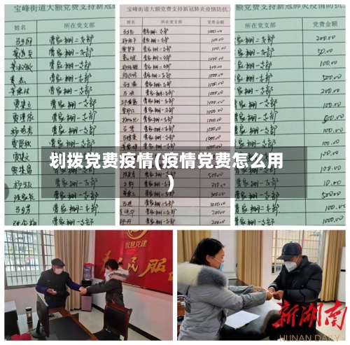 划拨党费疫情(疫情党费怎么用)
