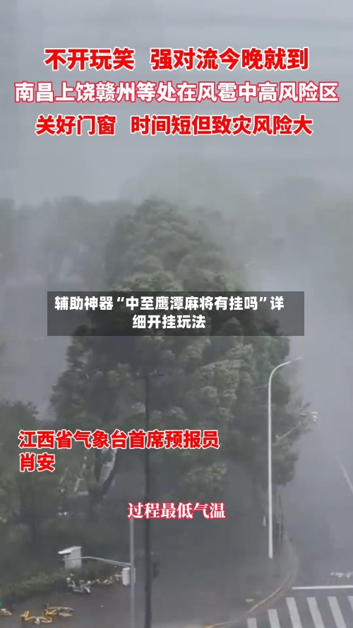 辅助神器“中至鹰潭麻将有挂吗”详细开挂玩法-第2张图片