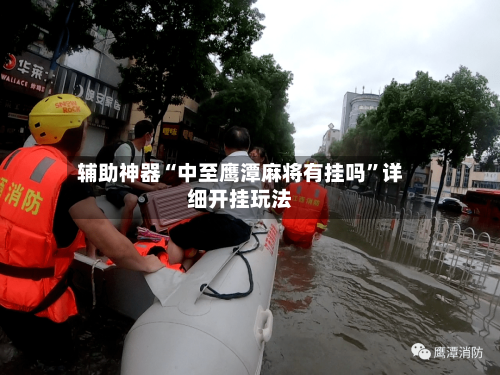 辅助神器“中至鹰潭麻将有挂吗”详细开挂玩法-第3张图片