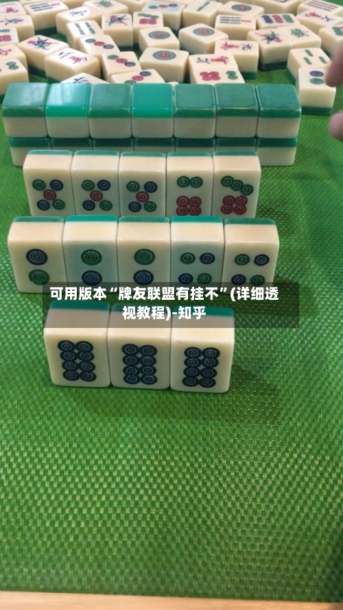 可用版本“牌友联盟有挂不”(详细透视教程)-知乎