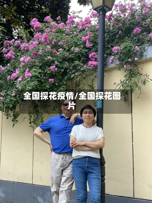 全国探花疫情/全国探花图片-第2张图片
