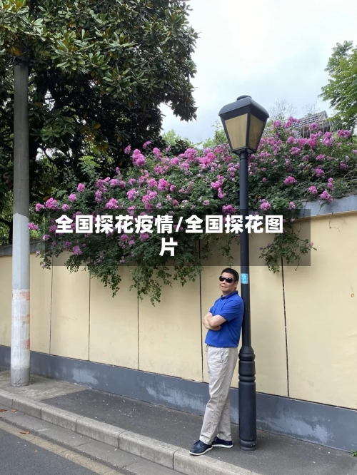 全国探花疫情/全国探花图片-第1张图片