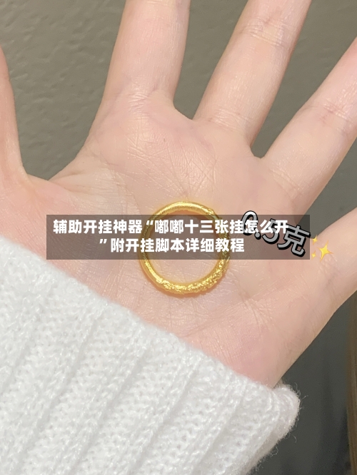 辅助开挂神器“嘟嘟十三张挂怎么开”附开挂脚本详细教程-第2张图片