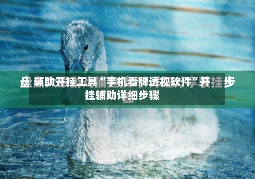 辅助开挂工具“手机看牌透视软件”开挂辅助详细步骤-第3张图片