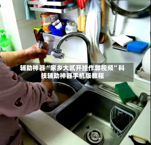 辅助神器“家乡大贰开挂作弊视频	”科技辅助神器手机版教程-第1张图片