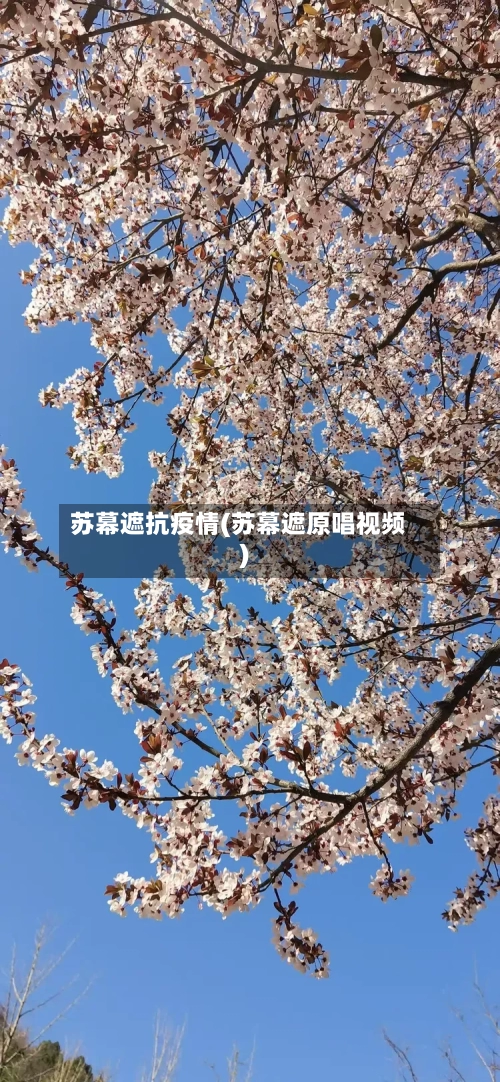 苏幕遮抗疫情(苏幕遮原唱视频)-第2张图片