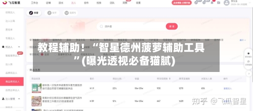 教程辅助！“智星德州菠萝辅助工具”(曝光透视必备猫腻)-第2张图片