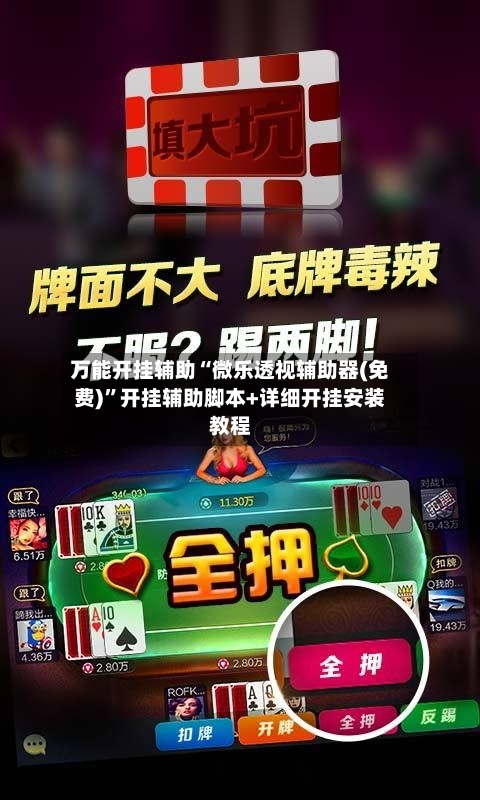 万能开挂辅助“微乐透视辅助器(免费)”开挂辅助脚本+详细开挂安装教程-第3张图片