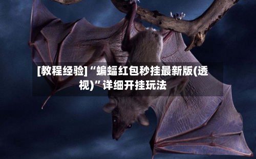 [教程经验]“蝙蝠红包秒挂最新版(透视)	”详细开挂玩法-第2张图片