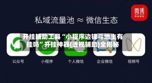 开挂辅助工具“小程序边锋斗地主有挂吗”开挂神器{透视辅助}全揭秘-第3张图片